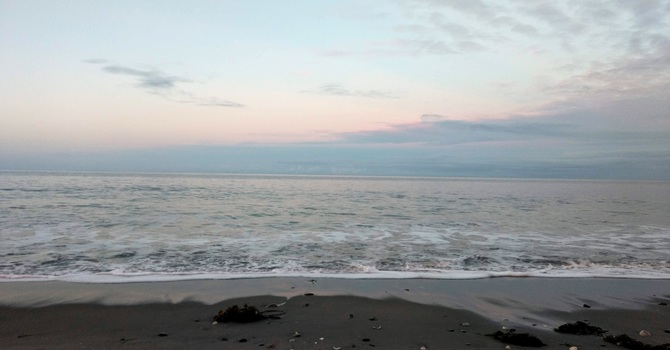 8 Limbs of Traditional Chinese Medicine and Self-Longevity